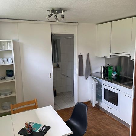 2.5 Zimmerwohnung, Pinut Trin Экстерьер фото