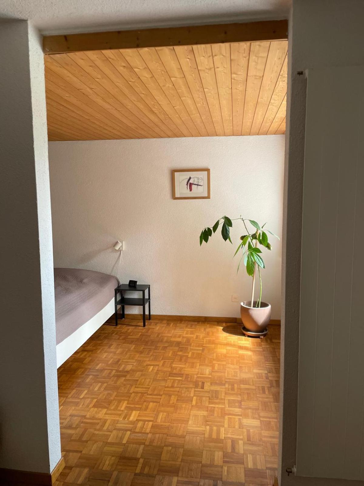 2.5 Zimmerwohnung, Pinut Trin Экстерьер фото