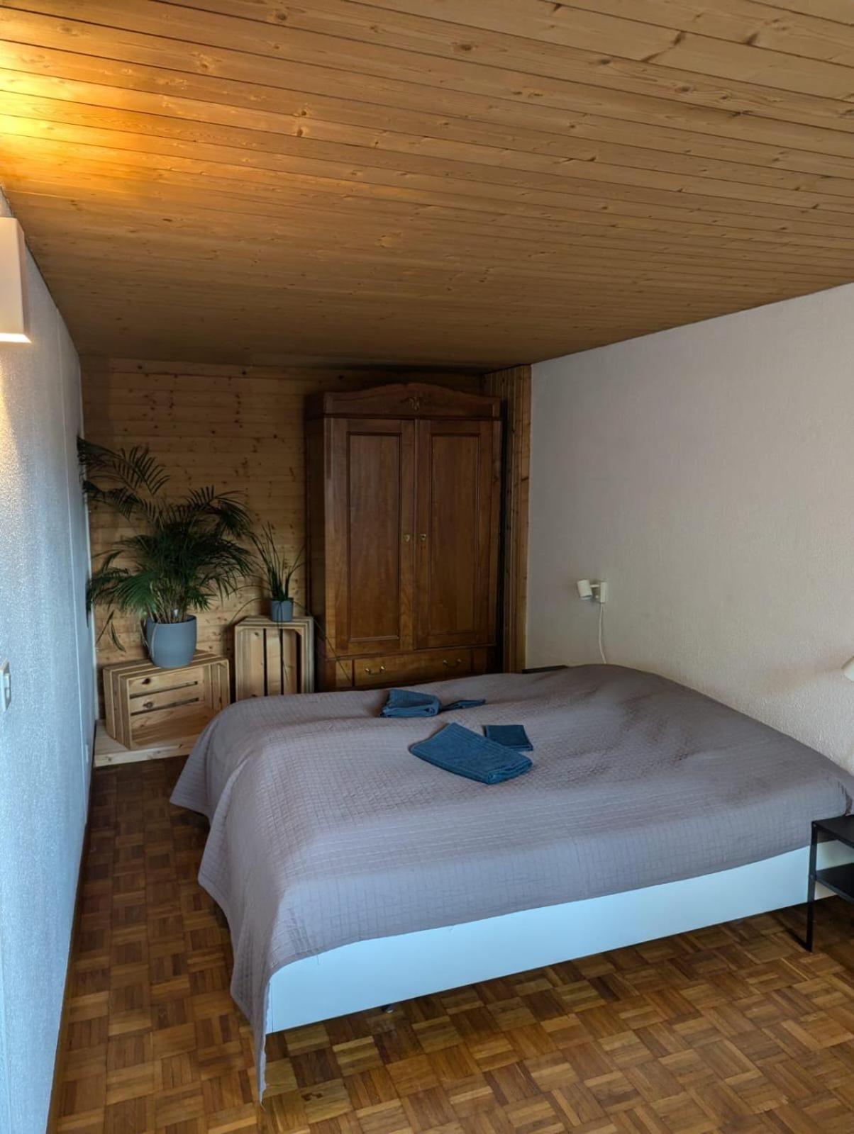2.5 Zimmerwohnung, Pinut Trin Экстерьер фото